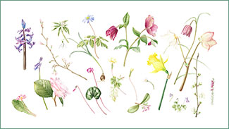 March
